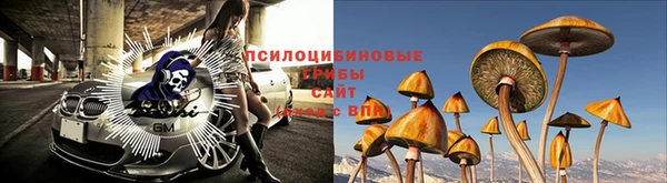 СК Приозерск