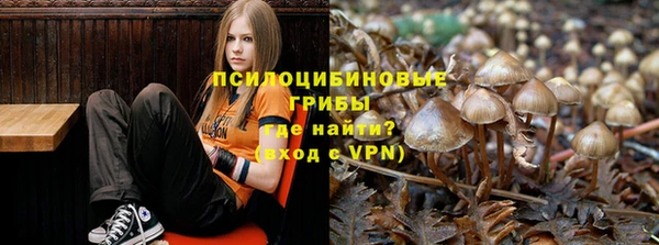 СК Приозерск