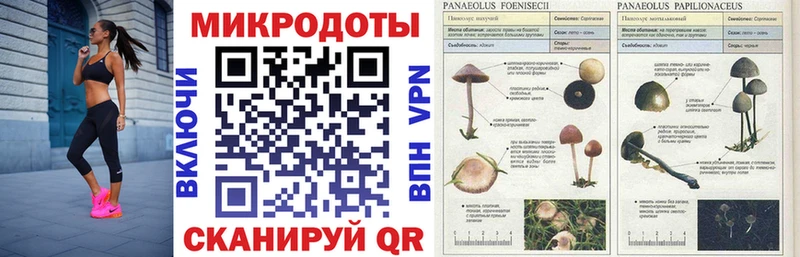 где можно купить наркотик  нарко площадка официальный сайт  Галлюциногенные грибы Cubensis  Людиново 