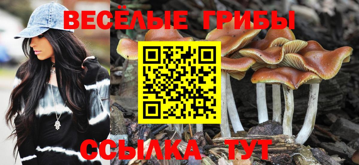 Галлюциногенные грибы мицелий  Вход с VPN  Людиново  Псилоцибиновые грибы мицелий 